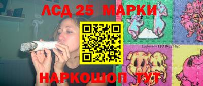 Альфа ПВП Заволжье