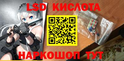 прущие грибы Заводоуковск