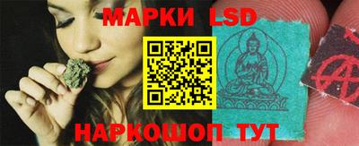 прущие грибы Заводоуковск
