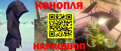прущие грибы Заводоуковск
