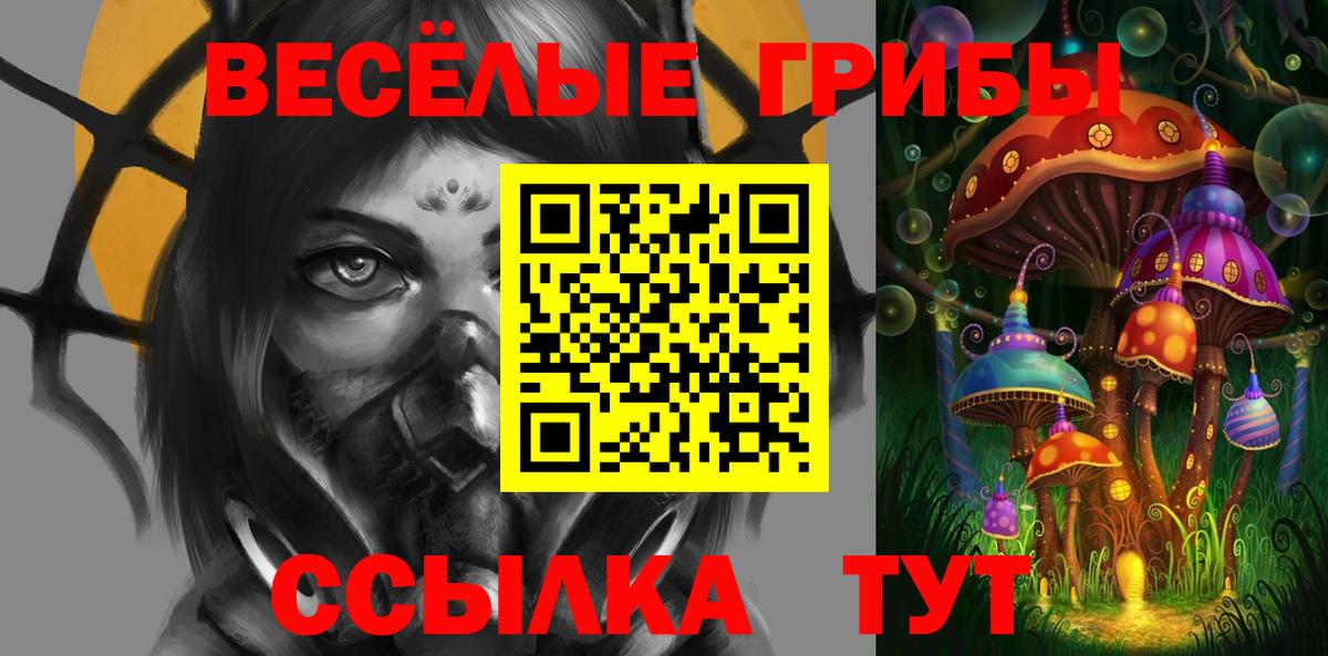 Лыткарино  Галлюциногенные грибы Psilocybine cubensis  Вход с VPN 